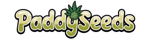Semi di cannabis 